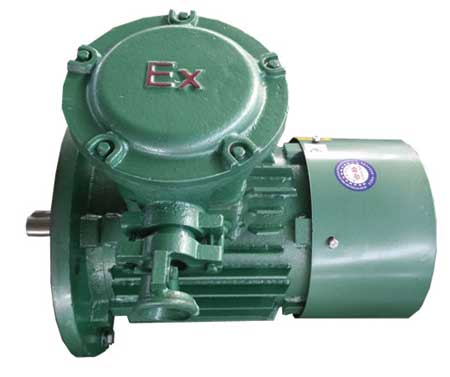 ybx4防爆電機(jī)采用的主要技術(shù)有哪些？